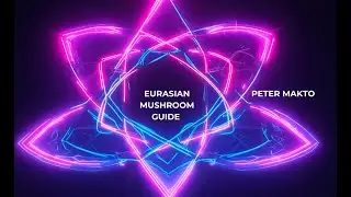 Peter Makto - Eurasian Mushroom Guide (1 hour journey - DJ mix)