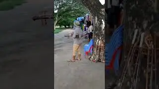 Shopping and paintings of Angkor wat temple Siem Reap Cambodia