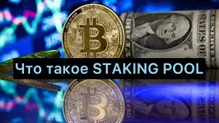 Что такое STAKING POOL Как это работает и как заработать. 20.09.2023
