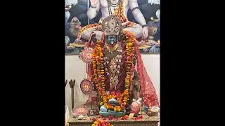 Divine guidance by astro adarshj 🧿|Jai Maa kalka🙏🏻🙏🏻 Live Session &hearts;️
