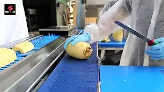 Pineapple Processing Line That Works Quick and Easy #shorts