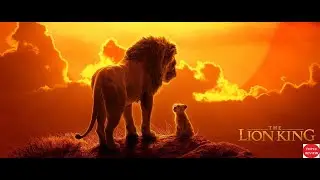 The Lion King full movie review/Hollywood Movie Review/Donald Glover/Family&Adventure/TOP10 Review