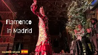 The BEST Flamenco Show In Madrid Spain