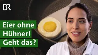 Ei-Ersatz: Vegane Eier mit Eigelb, Eiweiß und Schale | Unser Land | BR