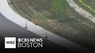 About 40 children stung by bees at Ashland, Massachusetts school