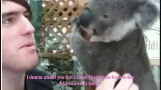 Valencia - What Are You Doing, Man? That's Weird! + Lyrics