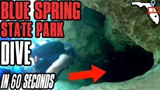 How to scuba dive Blue Spring State Park in Florida | In ONE minute | Down to 60