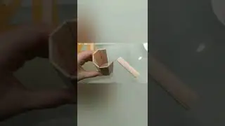 BambooCase +Light - Pamela Mora