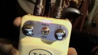 The T-Rex ToneBug Reverb presented by Milan Polak