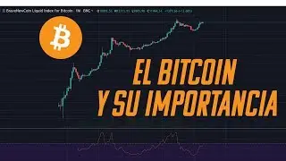 Introducci&oacute;n al Bitcoin [Funcionamiento][An&aacute;lisis de Precio Hist&oacute;rico]