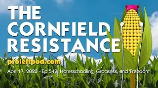 Ep 542: Homeschooling, Groceries, and 'Freedom'