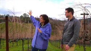 Shake Ridge Vineyard talking Yorba Wines | Block122TV