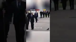 Wait For End |A Crow Saluted Putin ,😮 #shorts #putin #modi #respect #sigma