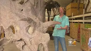 Dinosaur Lover Hopes To Pass Along Love Of Fossils To Next Generation