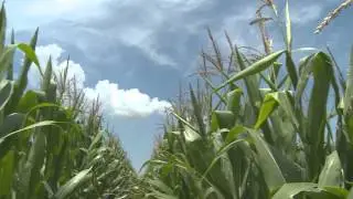 Ag Data