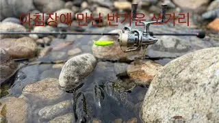 무주 뒷섬 쏘가리낚시 2부 (소문듣고 찾아간집 별볼일 없다)