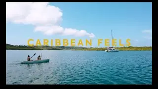 A Taste of Cartagena & Panama Experience