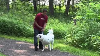 How to Remove Burdock