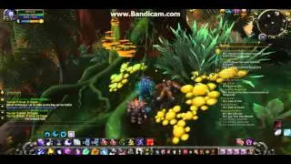 wow 6.2.3 treasure hunting the eye of grannok, spoils of war captain's chest, weathered axe and more
