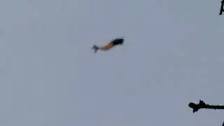Murray Beach Provincial Park Kite flying