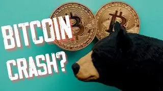 Bitcoin Pump Or Crash? - 2 minute Analysis Tamil