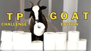 HER MIC DROP MOMENT | Toilet Paper Challenge GOAT style | #shorts