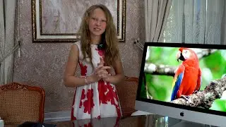 Мой новый компьютер! iMac 2019 27
