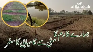 Hamari Zameen Ka Safar | Fish Farming & Banana Farming in Pakistan | Al-Barakah Farm Story Vlog