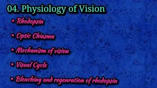 04. Physiology of Vision || Rhodopsin mechanism || Optic chiasma || Visual Cycle|| Bleaching