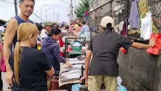 Mga presyuhan ng latag ng isda at tumpukan hipon at pusit 100 pesos lang tumpok #fyp