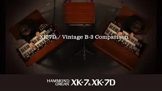 HAMMOND | XK-7D / Vintage B-3 Comparison