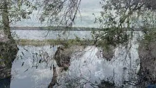 100 Acre Exclusive Homesite with Lake Frontage