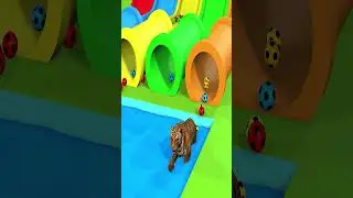 Long Slide Game With Elephant Gorilla Tiger Horse Cow Fox Lion Hippopotamus 3d Animal Game 2024