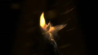 Интро Phoenix