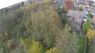 Darfeld