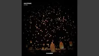 Multitude