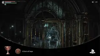 Demon's Souls - A Dash Of Sage