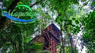 Maquenque Eco-Lodge & Tree Houses - Boca Tapada - Costa Rica