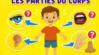 Apprendre les parties du corps 👀👂🖐️