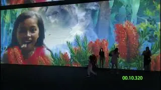 Expo 2020 - Dubai - What's Inside Australia Pavilion
