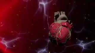 Heart Repair and Treatment Sound Therapy | Vagus Nerve Stimulation Music | Heart Healing Frequency