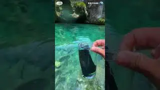 Filming underwater with your phone