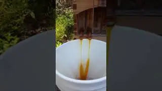 Keez Beez Honey harvested from Flow Hive At Keyscable.com