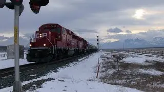 TVR Rail Spotting HD: CP C31 heading east at Ozada east AB