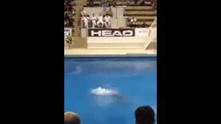Perfect Diving Timo Barthel 307c all 10