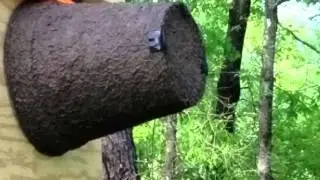 Swarm pot capture