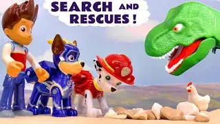 Chase and Marshall's Search and Rescue Stories