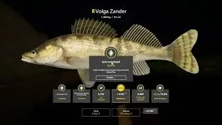 Russian Fishing 4 Sura River Volga Zander Trophy