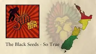 The Black Seeds - So True