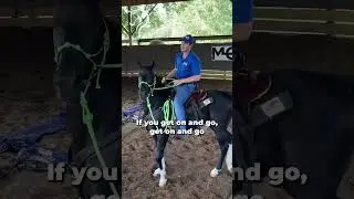 Quick Tips To Gain Confidence With Your Horse! Part 7 | The Horse Guru - Michael Gascon